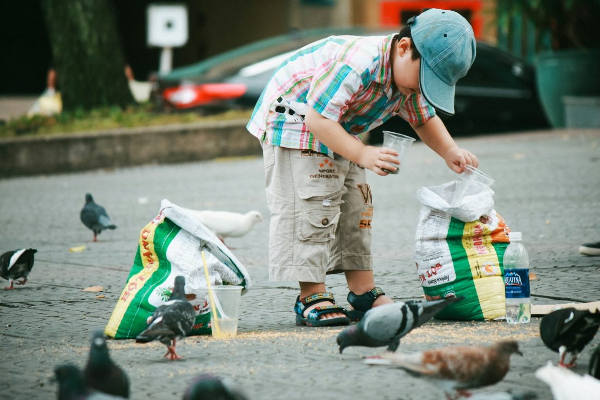 Kid feeding pigeons